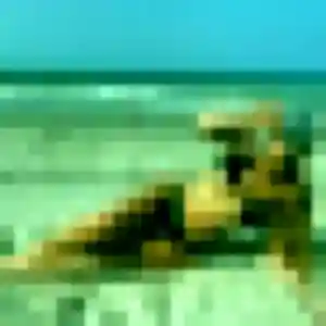 Zelie (35 ans) à Le Controis-en-Sologne cherche une rencontre rapidement