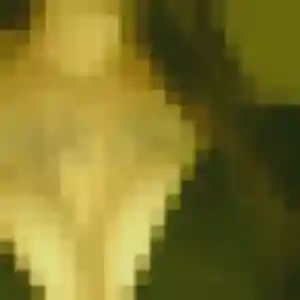 Photo sexy de Mahaut, 38 ans à Le Fay - rencontre sans lendemain