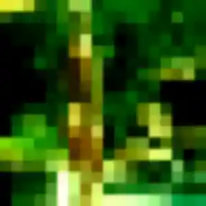 Heloise (35 ans) à Le Fidelaire propose une rencontre aujourd'hui