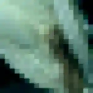 Justine, femme de 32 ans veut plan cul à Le Genest-Saint-Isle