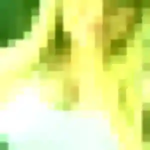 Sasha, fille de 28 ans propose plan cul à Le Horps