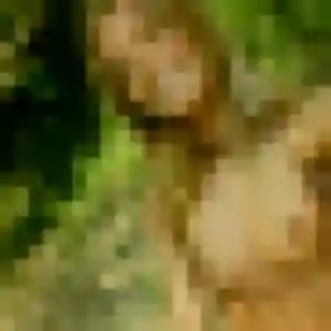 Découvre Leila, 29 ans à Le Houlme en t'inscrivant