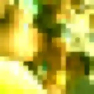 Sexy Rania, 38 ans à Le Houlme - la contacter