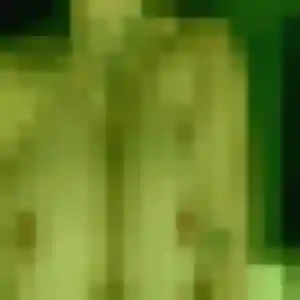 Photo de Blandine à Le Kremlin-Bicêtre (32 ans) - plan cul sans inscription