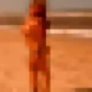 plan cul à Le Lion-d'Angers : photo de Constance, 37 ans - accès libre