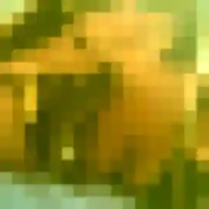 Amandine, femme de 32 ans cherche plan cul à Le Mesnil-en-Thelle