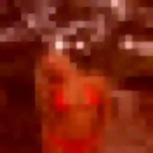 Rencontre Amandine, 31 ans à Le Mesnil-Saint-Denis gratuitement