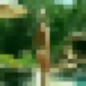 Sexy Manel, 20 ans à Le Perreux-sur-Marne - voir sa photo