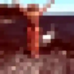 Anouk (30 ans) à Le Petit-Quevilly cherche une rencontre rapidement