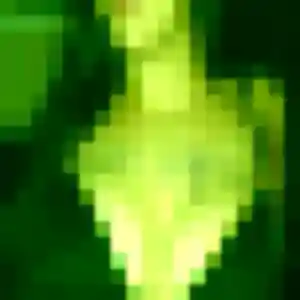 Mahaut, 27 ans, dispo pour plan cul à Le Petit-Quevilly