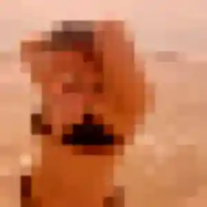 plan cul à Le Pin : photo de Violette, 38 ans - inscription gratuite