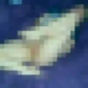 Photo de Flore à Le Pizou (29 ans) - plan cul gratuit
