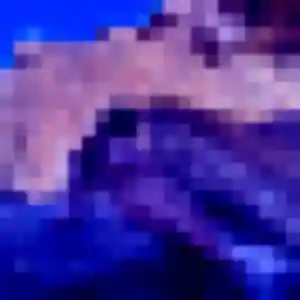 Alix, 32 ans, en ligne à Le Plan-de-la-Tour pour une rencontre coquine