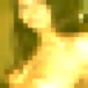 Zara, 37 ans, en ligne à Le Plessis-Grohan pour une rencontre coquine