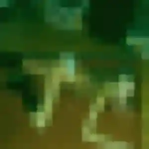 Contacte Nael, 24 ans à Le Rheu en t'inscrivant