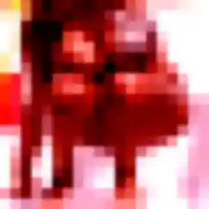 Photo sexy de Sienna, 20 ans à Le Rheu - rencontre coquine