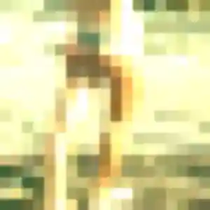 Photo privée de Elina, 29 ans à Le Trait - rencontre sans lendemain