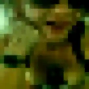 Sexy Salome, 35 ans à Le Trait - la contacter