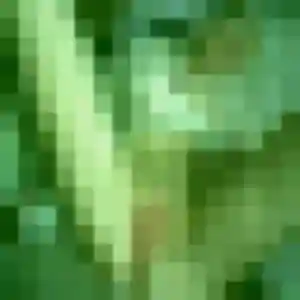 Sienna de Le Trait, 30 ans - plan cul discret