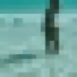 Sexy Ilana, 32 ans à Le Tremblay-sur-Mauldre - découvrir son profil