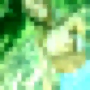 Leila de Le Tremblay-sur-Mauldre, 32 ans - plan cul discret