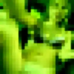 Sexy Coralie, 34 ans à Le Val-David - découvrir son profil