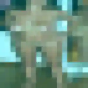 Photo privée de Eleonore, 37 ans à Le Verger - rencontre sans lendemain