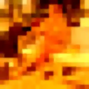 Photo privée de Elya, 32 ans à Léry - rencontre sans lendemain