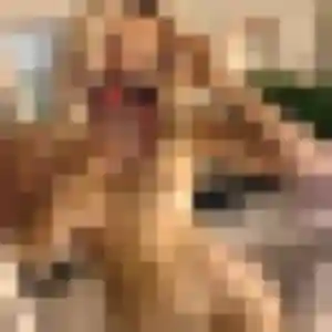 Photo privée de Lina, 28 ans à Les Ancizes-Comps - rencontre coquine
