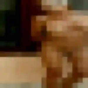 Photo de Nolwenn à Les Baux-de-Breteuil (27 ans) - plan cul gratuit