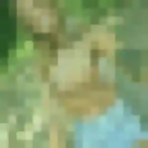 Leila de Les Baux-Sainte-Croix, 23 ans - plan cul sans prise de tête