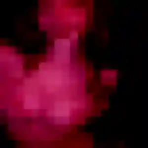 Tessa (22 ans) à Les Hauts-de-Caux attend un plan cul rapidement