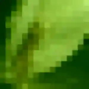 Prisca (20 ans) à Les Moitiers-d'Allonne attend une rencontre rapidement