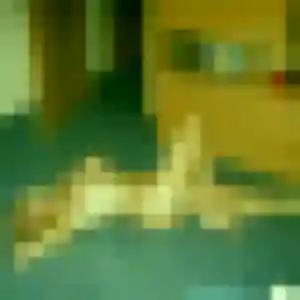 Aya, 23 ans, dispo pour plan cul à Les Molières