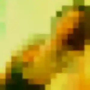 plan cul à Lesquin : profil de Anissa, 35 ans - inscription gratuite