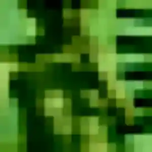 Contacte Yara, 38 ans à Lèves gratuitement