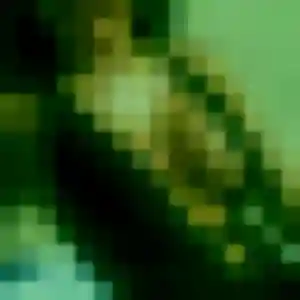 Photo exclusive de Elya, 34 ans à Limalonges - plan discret