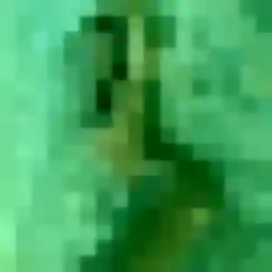 Photo exclusive de Sasha, 36 ans à Limalonges - rencontre sans lendemain