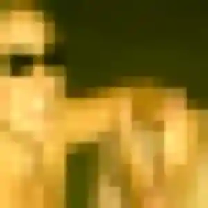 Amandine, 31 ans, dispo pour plan cul à Lisle-sur-Tarn