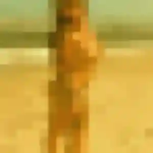 Photo sexy de Alina, 36 ans à Lissac-sur-Couze - rencontre sans lendemain
