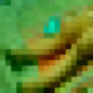 Rejoins Solene, 25 ans à Livarot-Pays-d'Auge en t'inscrivant