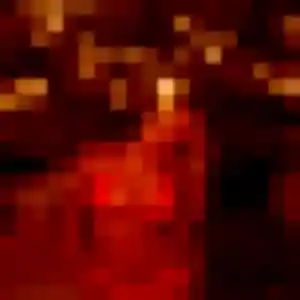 Photo privée de Amandine, 29 ans à Locmaria-Plouzané - rencontre sans lendemain