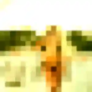 Photo de Perrine à Loiré (27 ans) - plan cul sans inscription