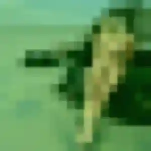 Rencontre Armelle, 28 ans à Lommoye en t'inscrivant