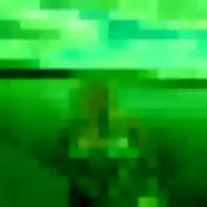 Découvre Louane, 31 ans à Long en t'inscrivant