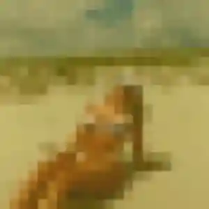 Salome, femme de 28 ans propose plan cul à Long