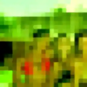 Elya, fille de 32 ans cherche plan cul à Longueil-Sainte-Marie