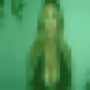 Découvre Celia, 35 ans à Lorient en privé