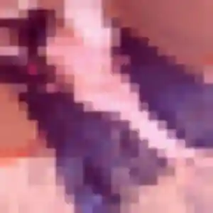 Photo de Lise à Louin (25 ans) - plan cul anonyme