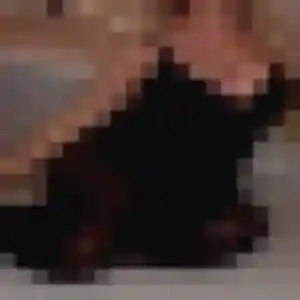 Rejoins Apolline, 39 ans à Loyettes en privé